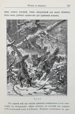 Дружбин П.В. И все это правда! Ум и нравы животных. СПб., 1900.